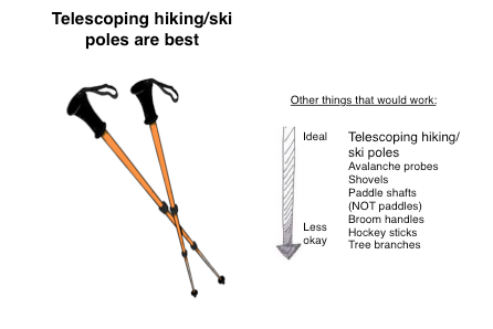 Telescoping hiking or trekking poles are best!